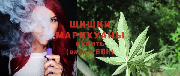 шишки Алзамай