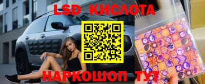 прущие грибы Кандалакша