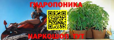 гашик Камышлов