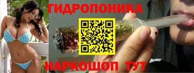 гашик Камышлов
