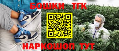 прущие грибы Кандалакша