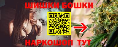 прущие грибы Кандалакша