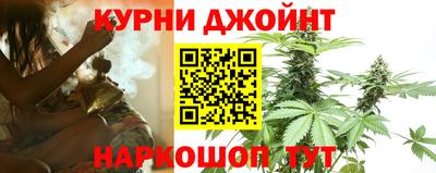 прущие грибы Кандалакша