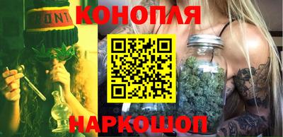 прущие грибы Кандалакша
