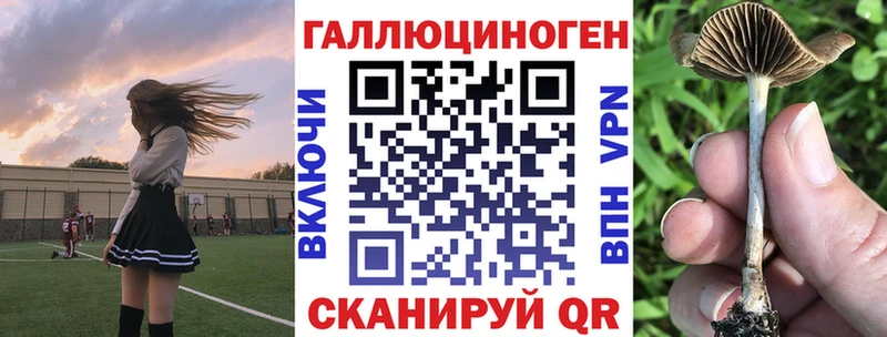 купить наркотики цена  Котовск  Галлюциногенные грибы Psilocybe 