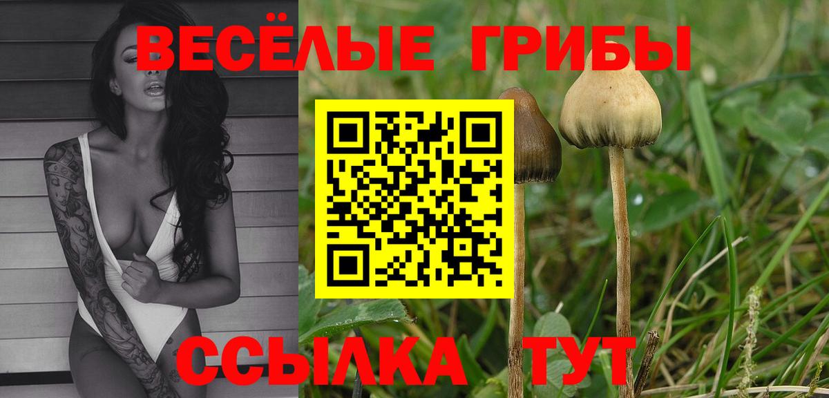 Котовск  Галлюциногенные грибы Psilocybe  Вход с VPN  Псилоцибиновые грибы Magic Shrooms 