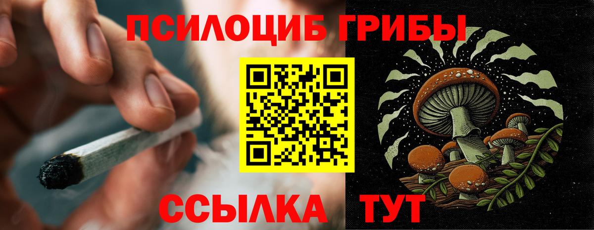 Галлюциногенные грибы мухоморы Котовск